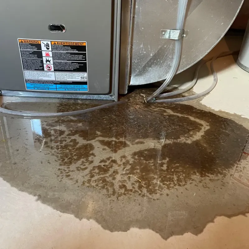 Appliance Leak Cleanup in Patterson, LA